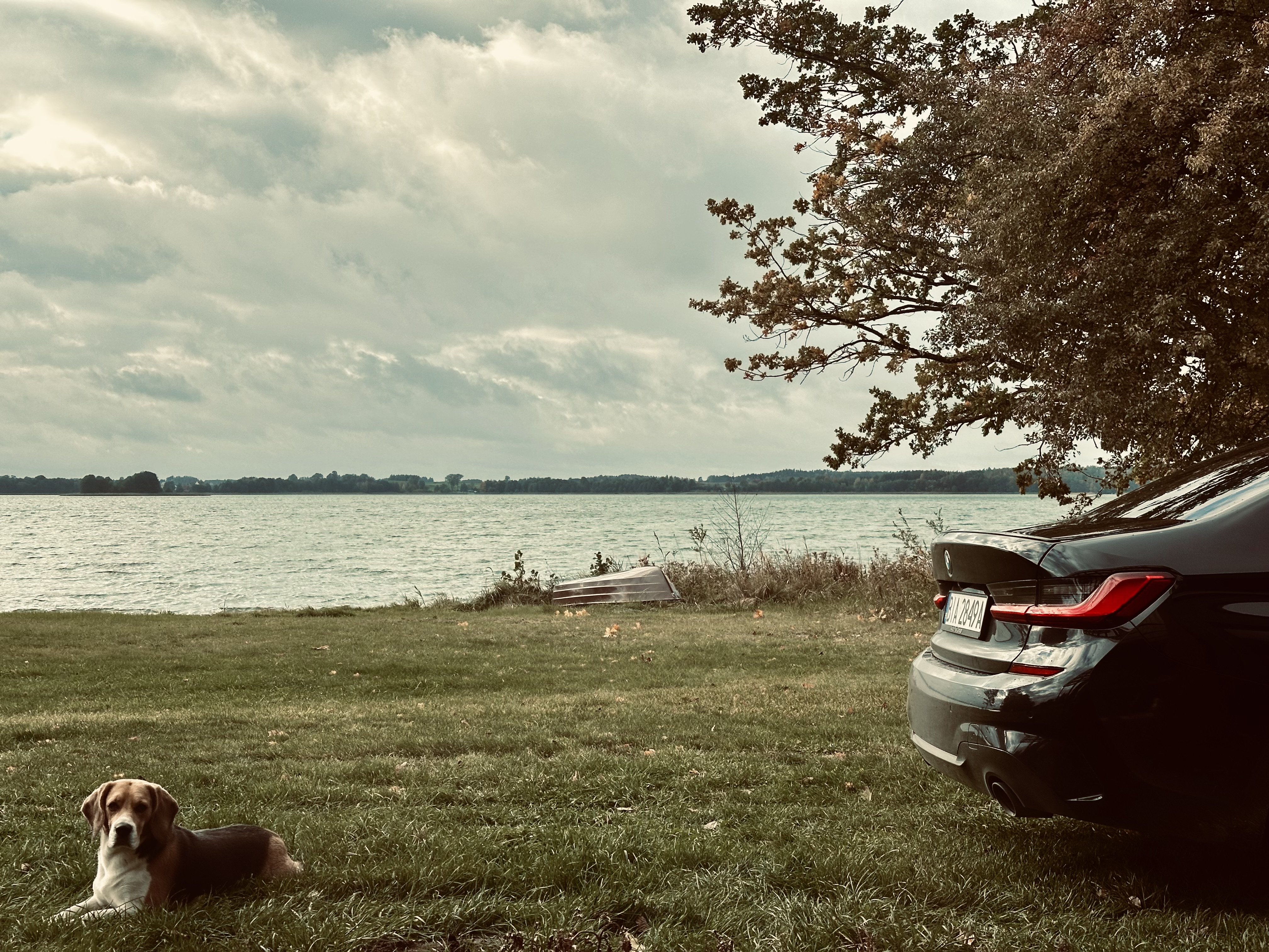 S0E0: The Project of My Life.