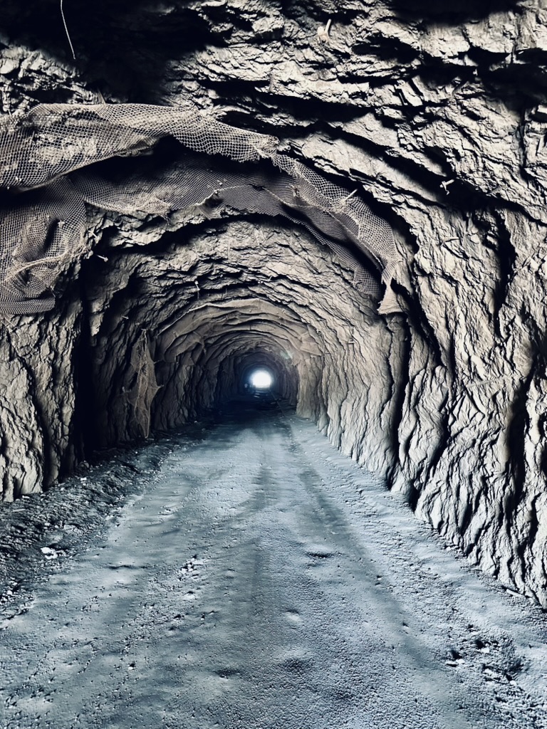 S0E1: What’s Next?